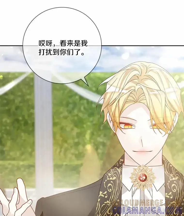 《龙套大公子妃的花路人生》55.参加茶话会 第93页