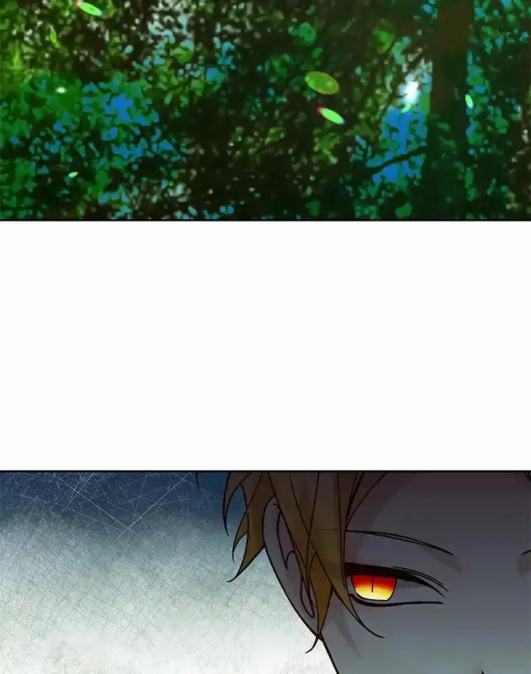 《龙套大公子妃的花路人生》56.化解危机 第19页