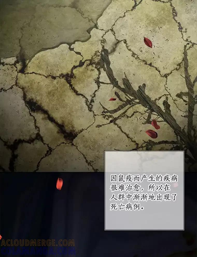 《龙套大公子妃的花路人生》57.我要加倍报复 第5页