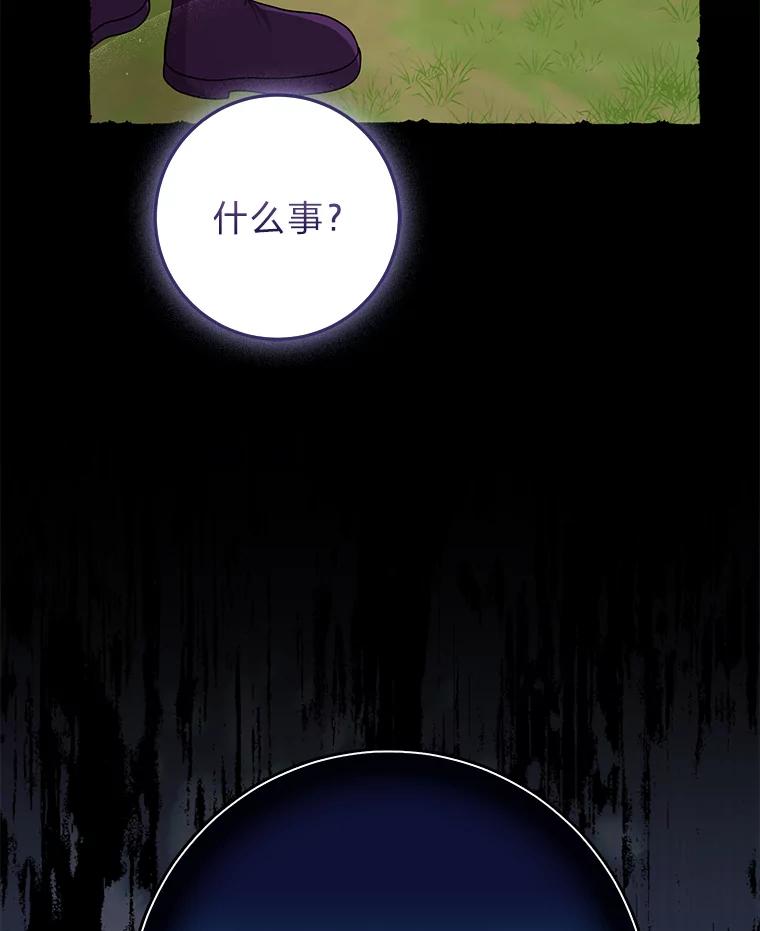 《完美演绎养女角色》69.薇欧拉的理由 第99页