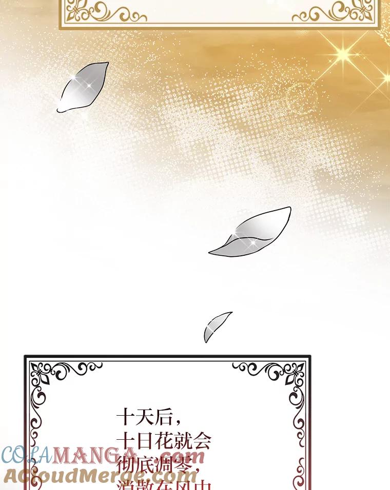《完美演绎养女角色》69.薇欧拉的理由 第125页