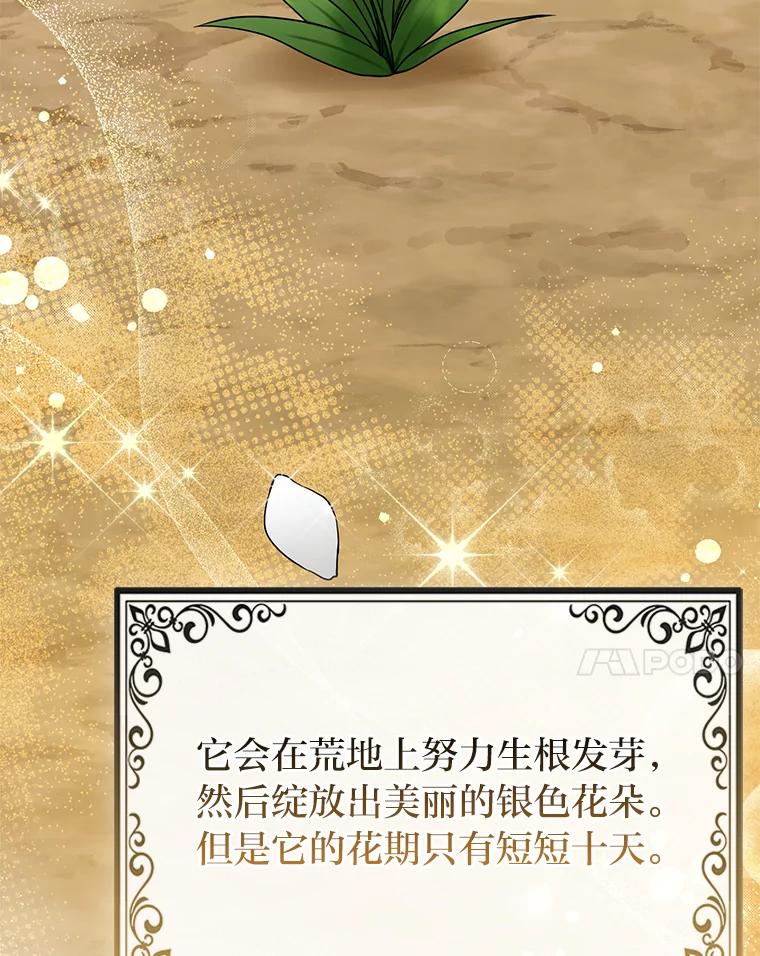 《完美演绎养女角色》69.薇欧拉的理由 第124页