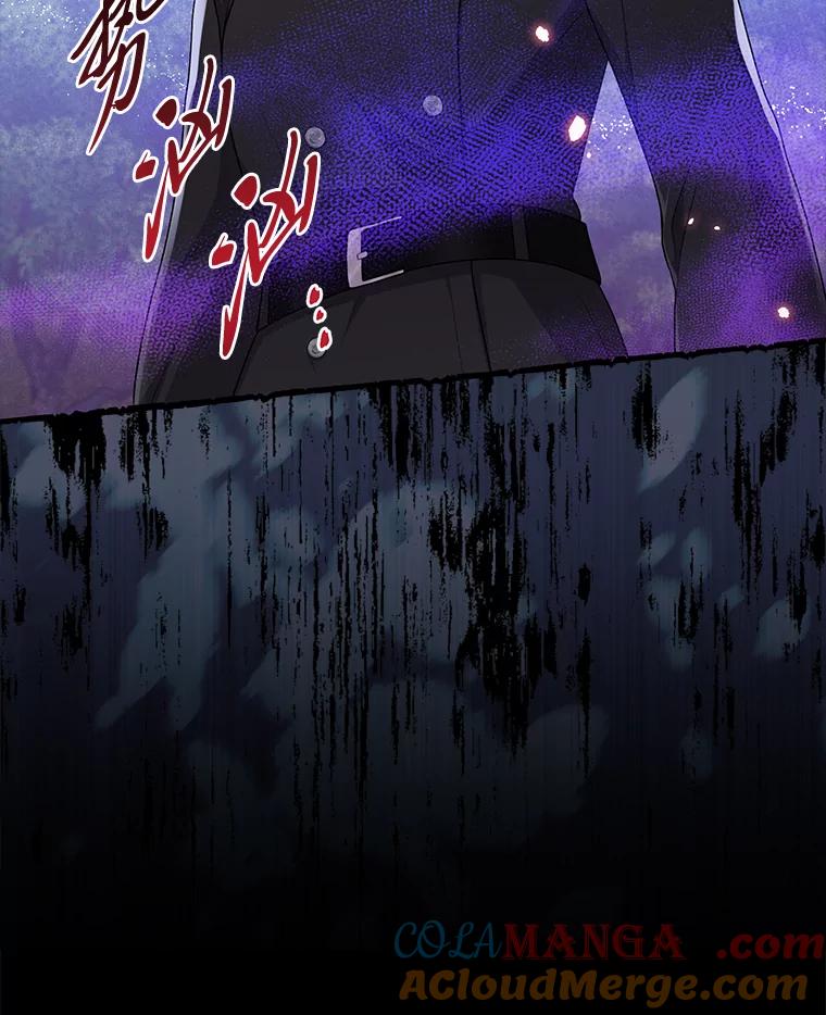《完美演绎养女角色》69.薇欧拉的理由 第101页