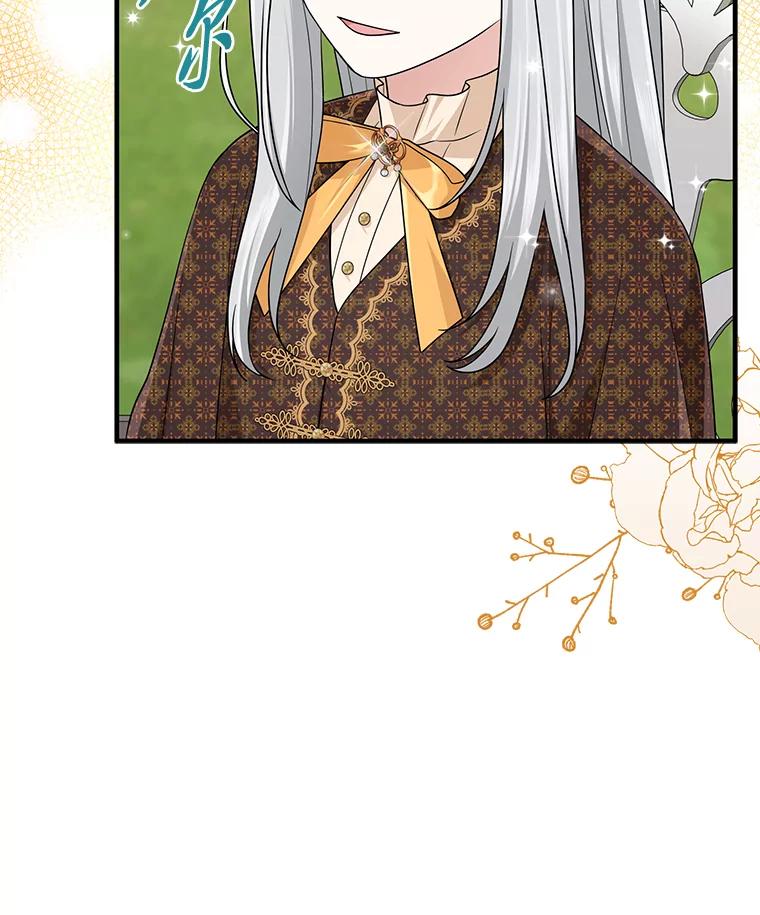 《完美演绎养女角色》69.薇欧拉的理由 第119页