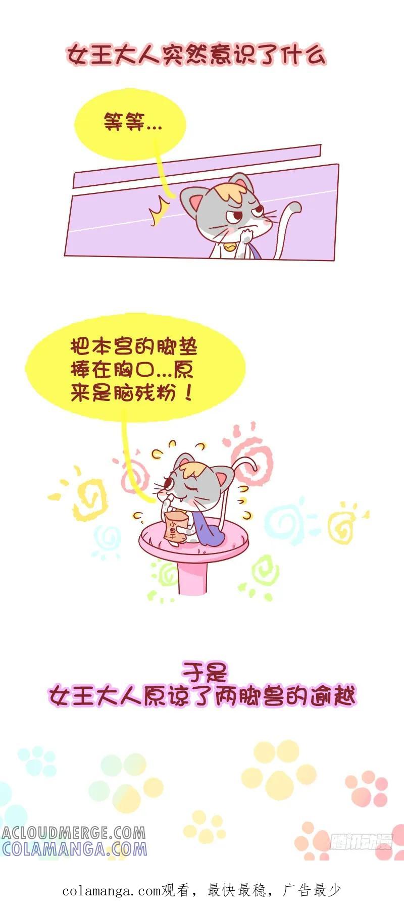 木木子漫画 被猫挑衅是一种什么样的体验 第5页