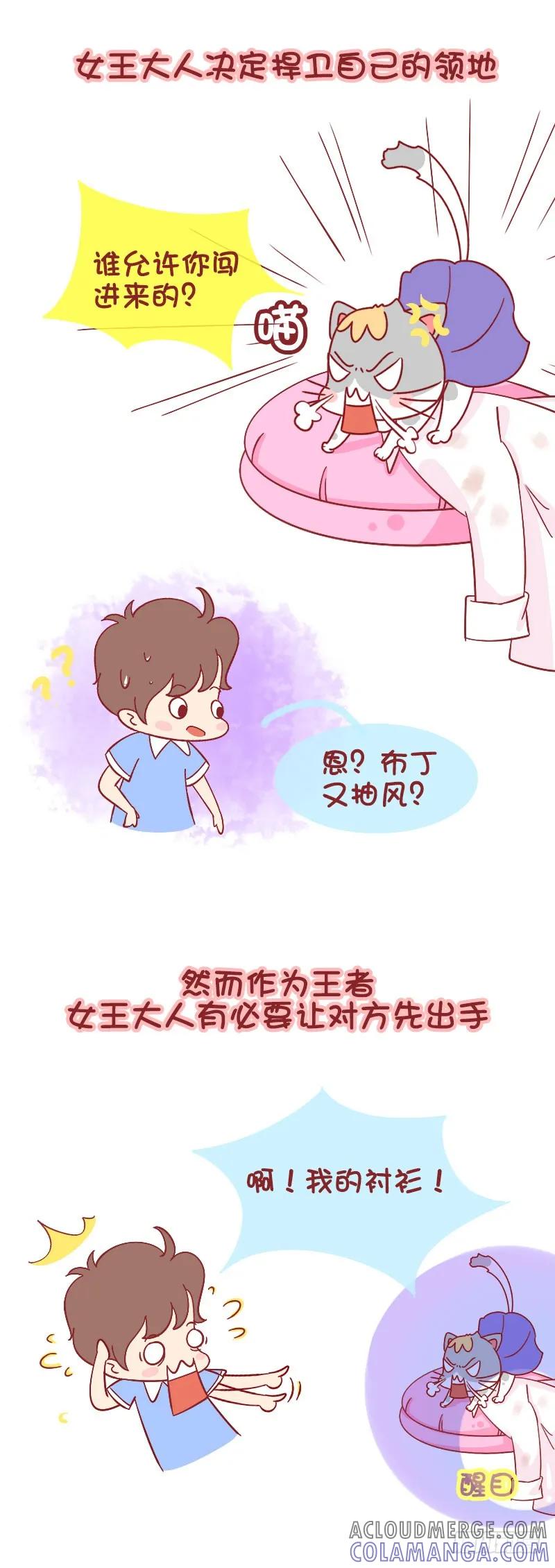 木木子漫画 被猫挑衅是一种什么样的体验 第3页