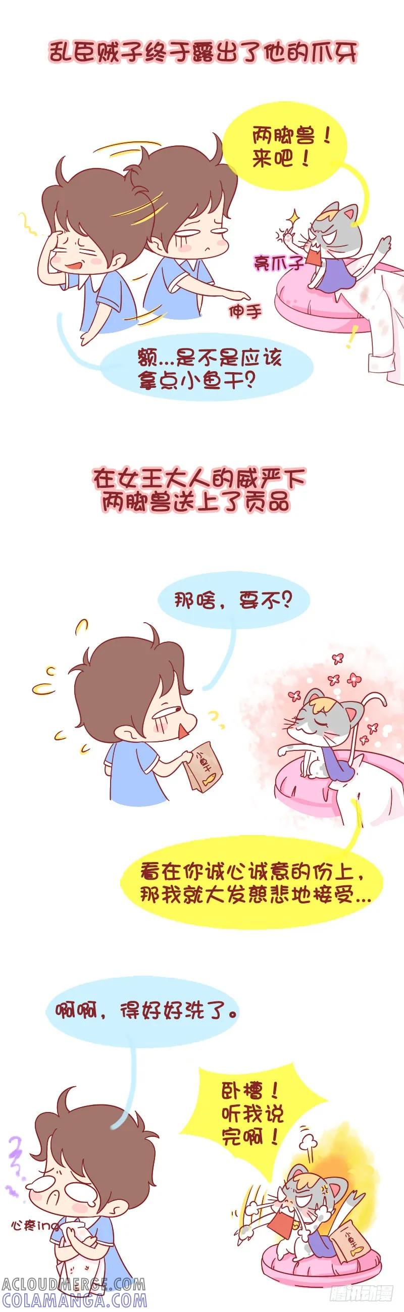 木木子漫画 被猫挑衅是一种什么样的体验 第4页