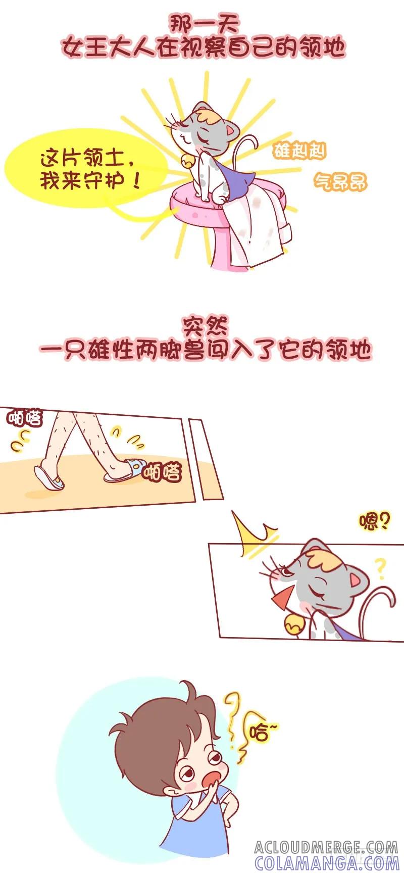 木木子漫画 被猫挑衅是一种什么样的体验 第2页