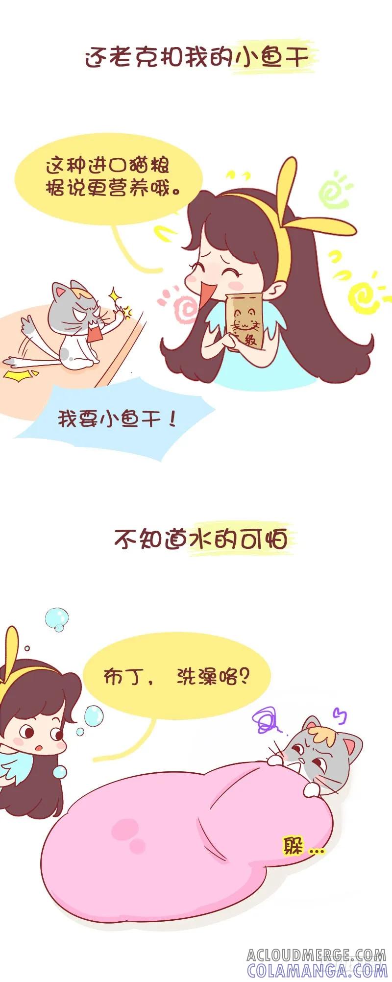 木木子漫画 布丁日记——我的铲屎官 第3页