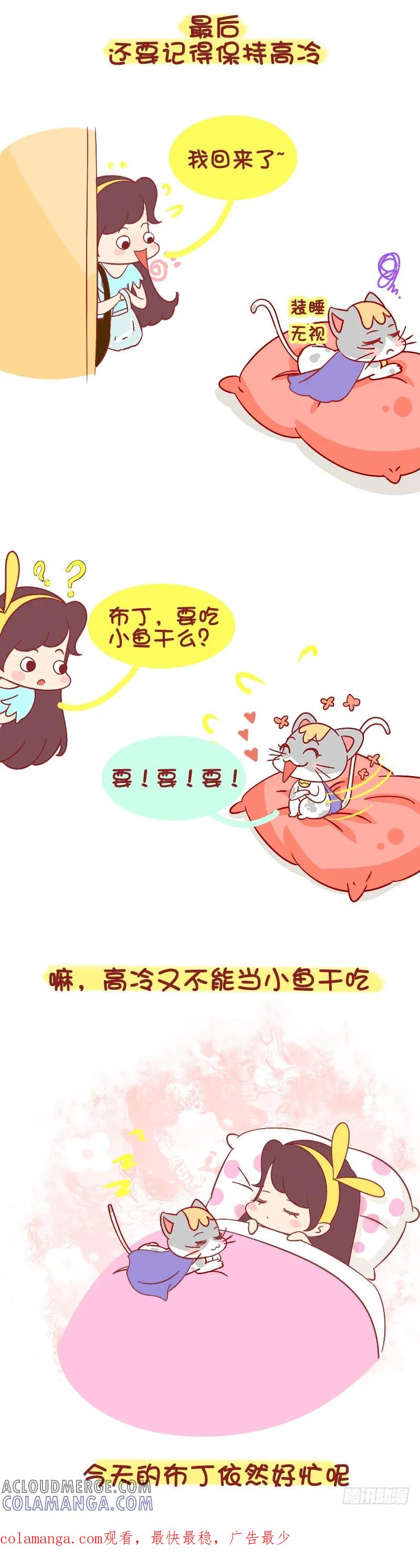 木木子漫画 别看我只是一只喵 第5页