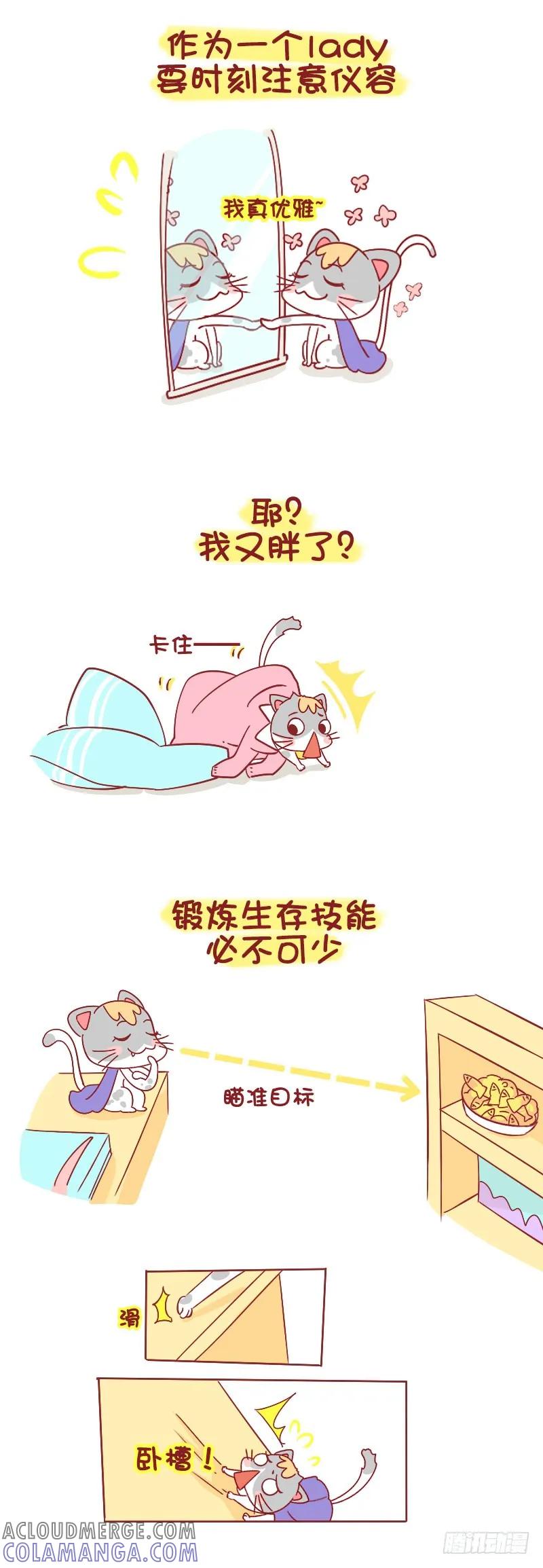 木木子漫画 别看我只是一只喵 第3页