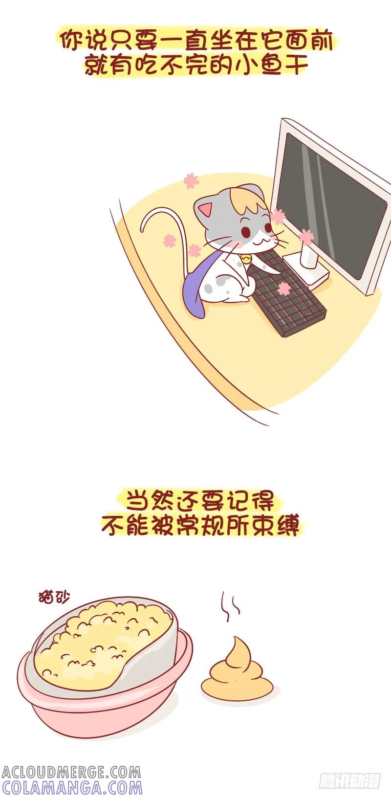 木木子漫画 别看我只是一只喵 第4页