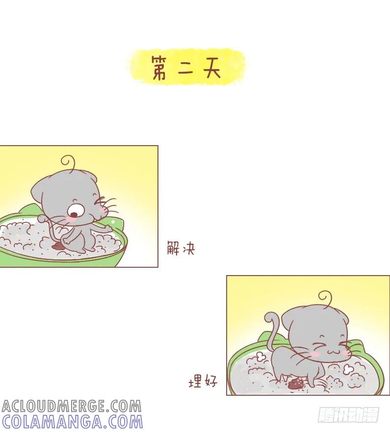 木木子漫画 等等，好像哪里不对 第5页