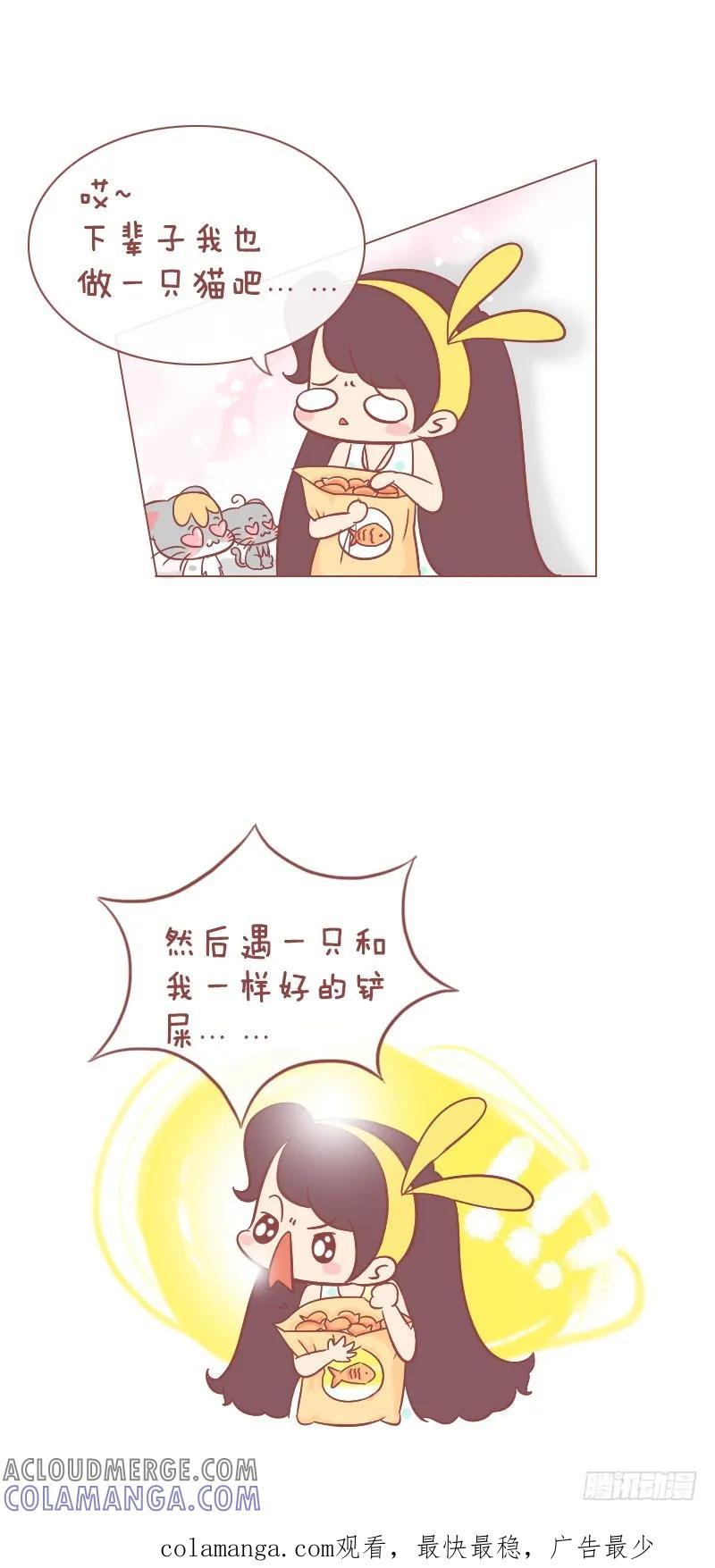 木木子漫画 下辈子也做一只喵 第6页