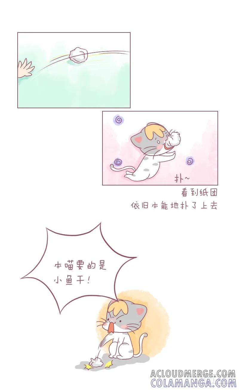 木木子漫画 早说过别把男朋友和喵放一起！ 第3页