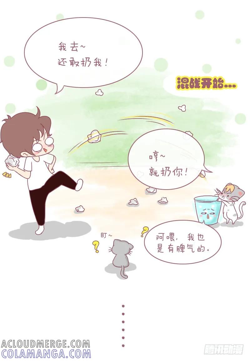木木子漫画 早说过别把男朋友和喵放一起！ 第6页