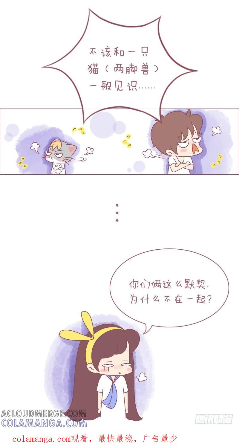 木木子漫画 早说过别把男朋友和喵放一起！ 第8页