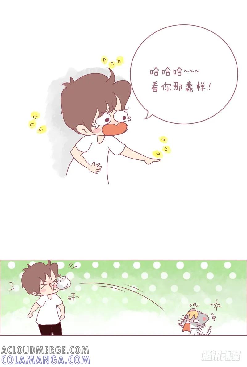 木木子漫画 早说过别把男朋友和喵放一起！ 第4页