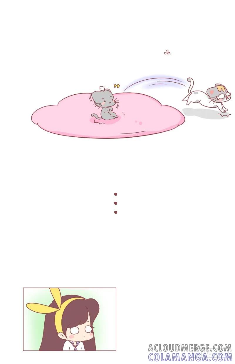 木木子漫画 喵星人攻占地盘计划！ 第8页