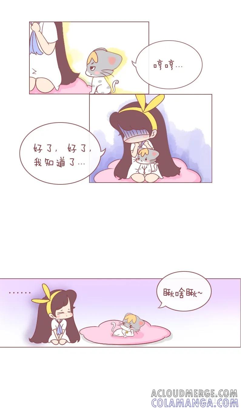 木木子漫画 喵星人攻占地盘计划！ 第5页