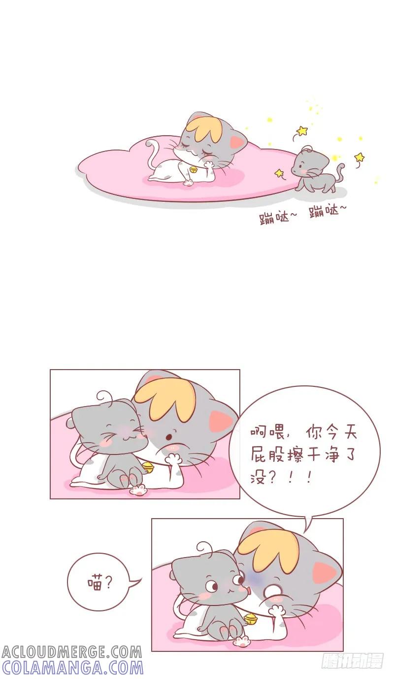 木木子漫画 喵星人攻占地盘计划！ 第7页