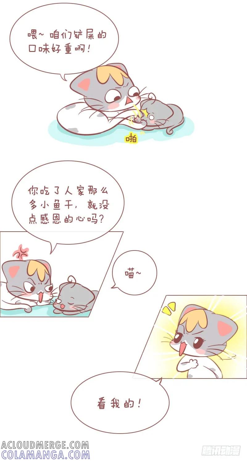 木木子漫画 铲屎的，赐于你猫屎咖啡！ 第3页