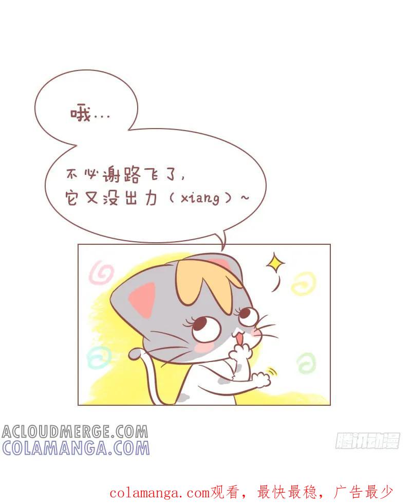 木木子漫画 铲屎的，赐于你猫屎咖啡！ 第7页