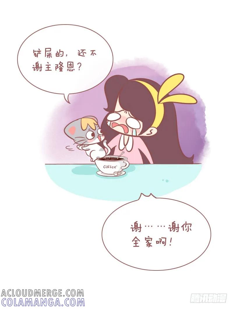 木木子漫画 铲屎的，赐于你猫屎咖啡！ 第6页
