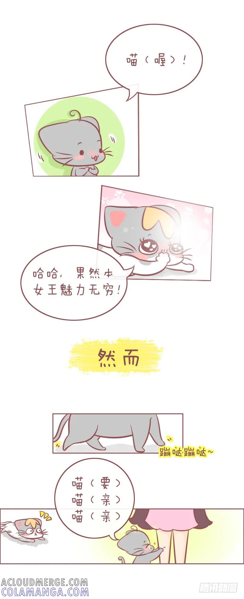木木子漫画 同样是男友，差别咋这么 第4页
