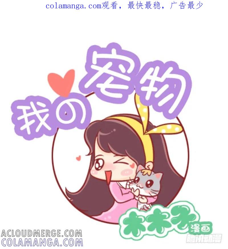 木木子漫画 别看我只是一只喵 2 第1页