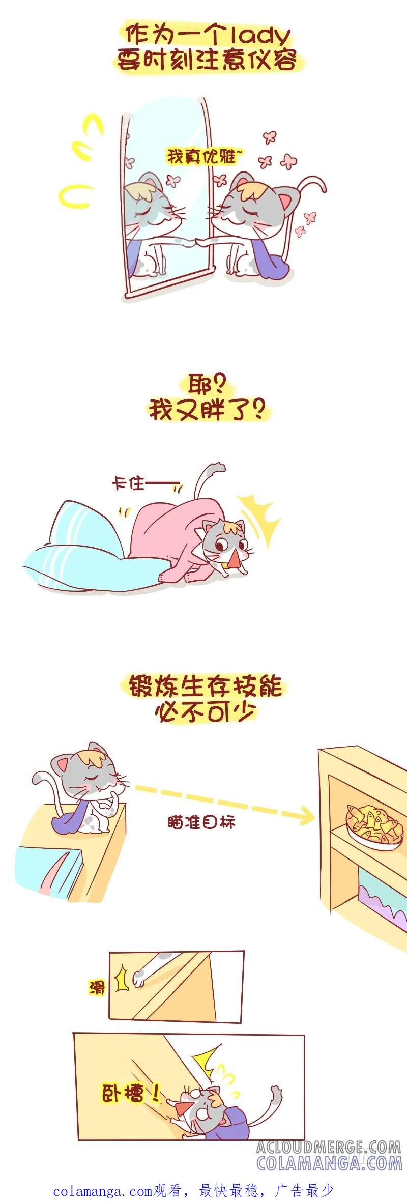 木木子漫画 别看我只是一只喵 2 第3页