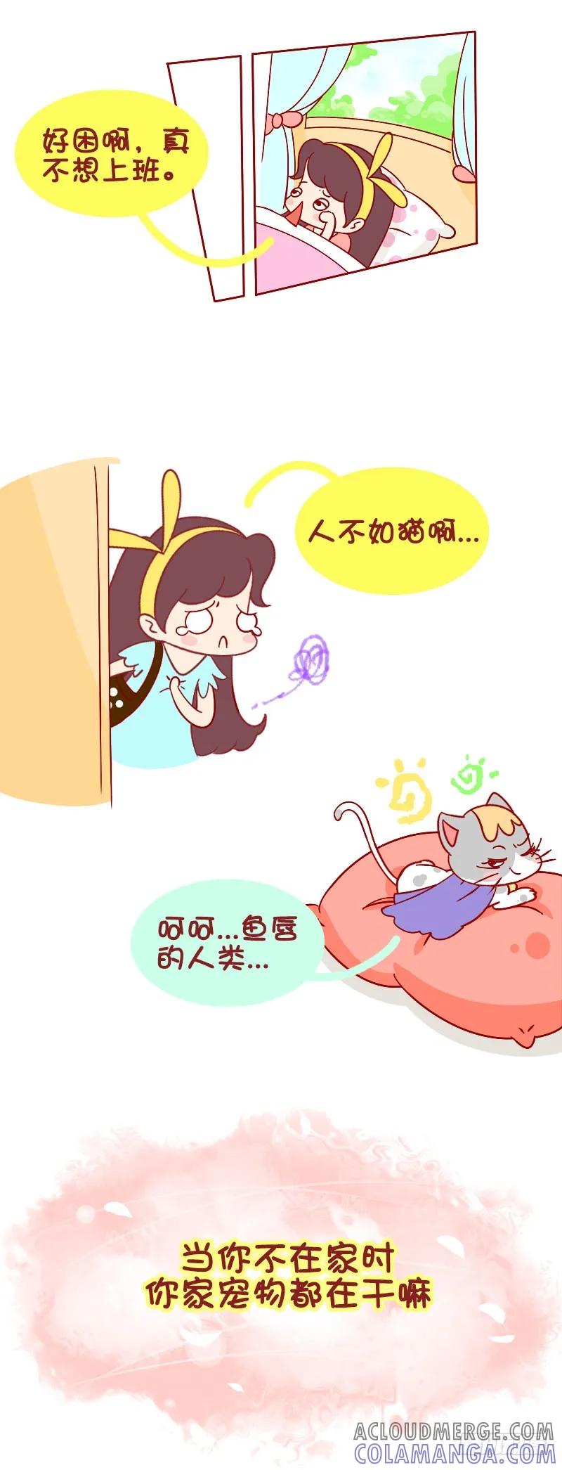 木木子漫画 别看我只是一只喵 2 第2页