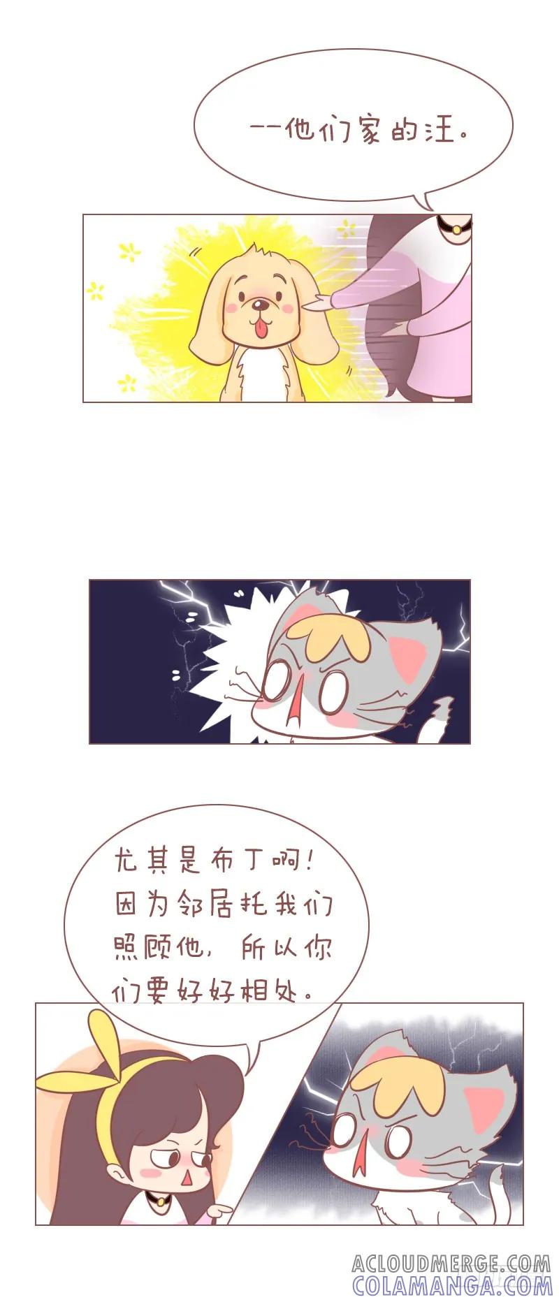 木木子漫画 隔壁家的汪来寄宿了！ 第2页