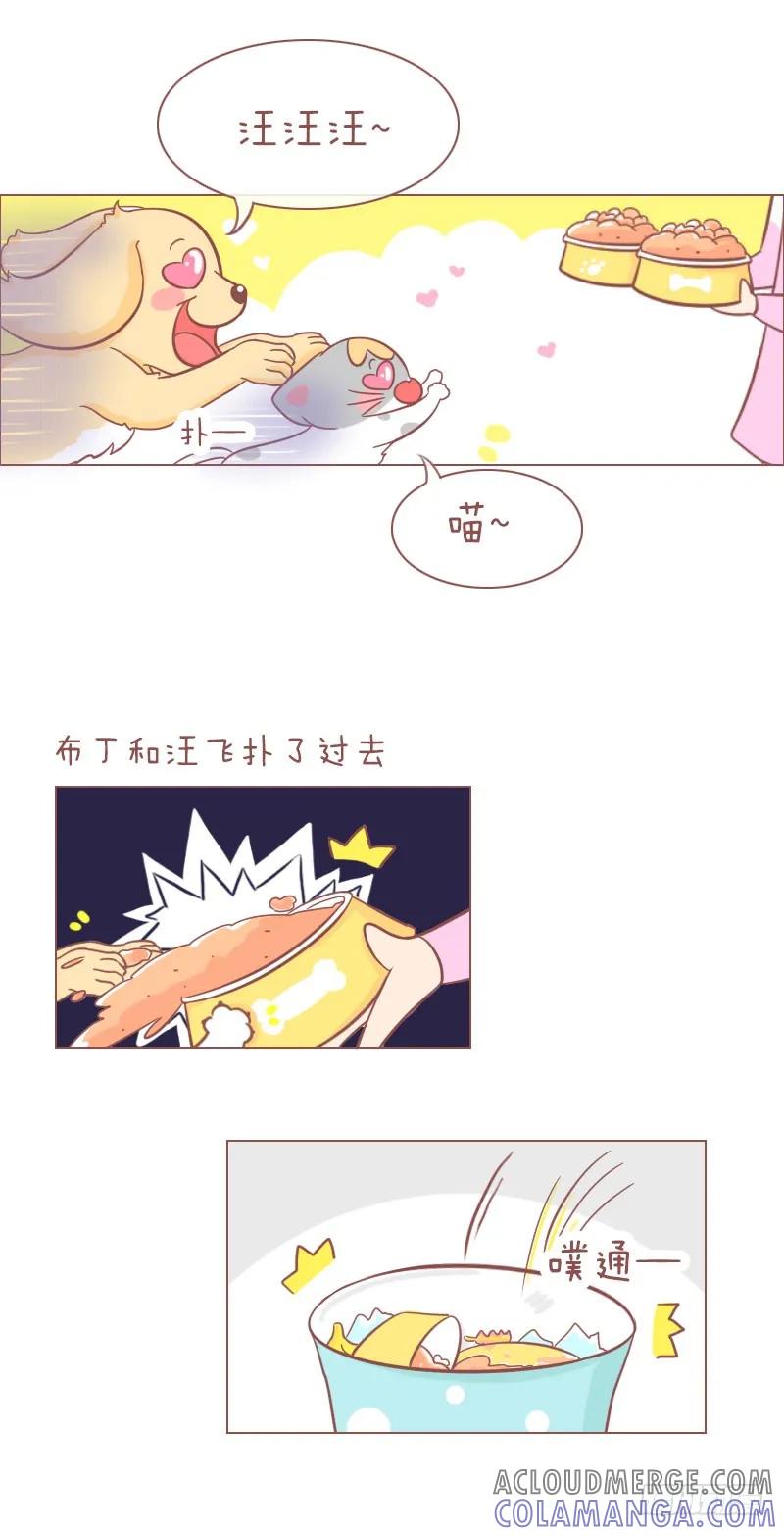 木木子漫画 隔壁家的汪来寄宿了！ 第6页