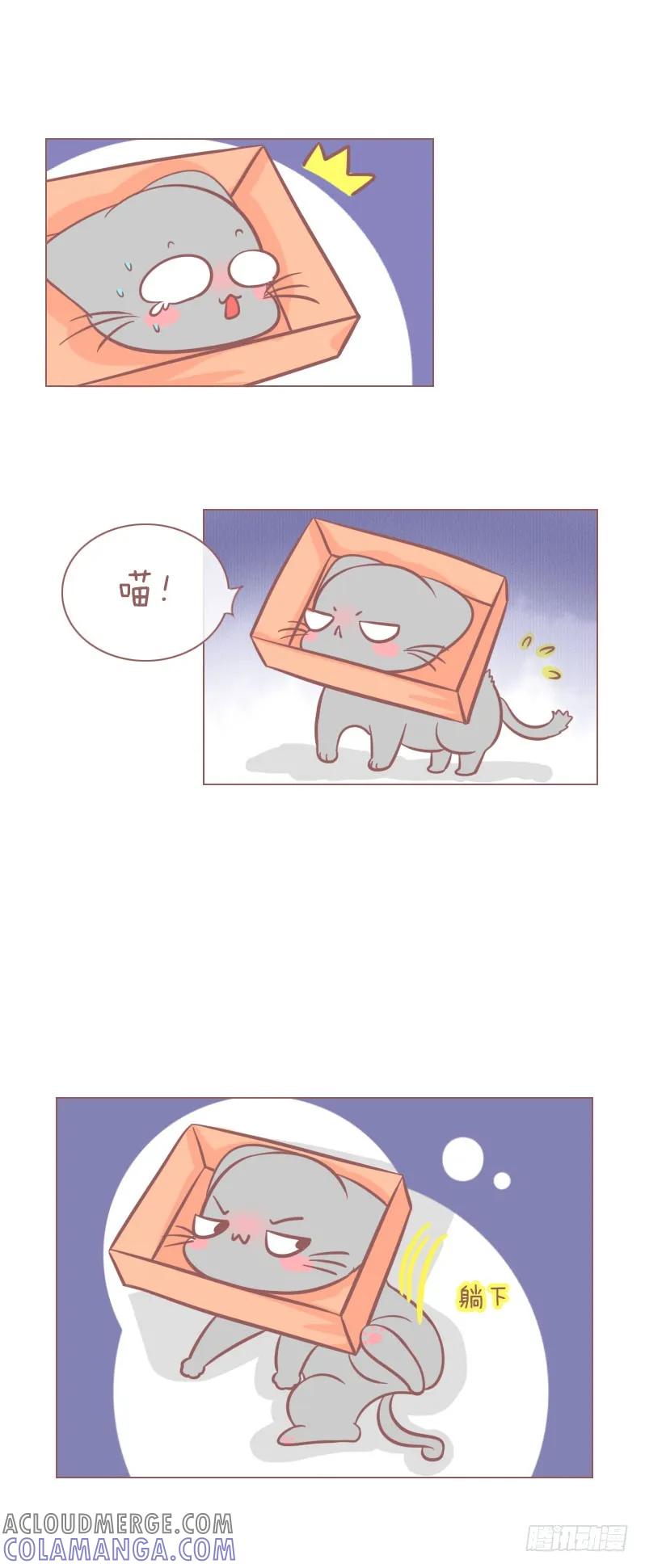 木木子漫画 布丁威武 第4页