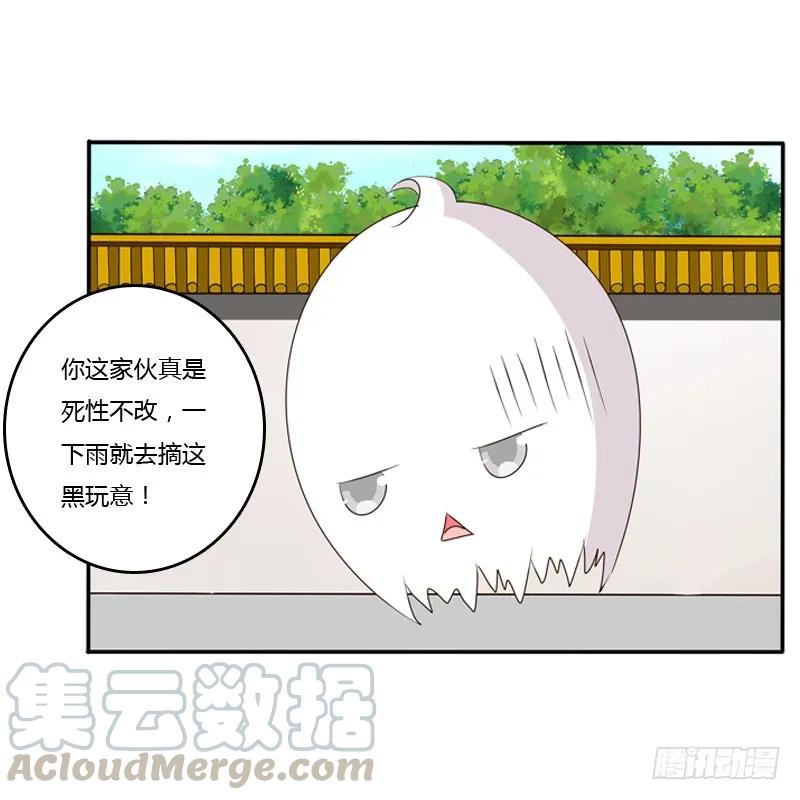 《通灵妃》玉子墨来访 第21页