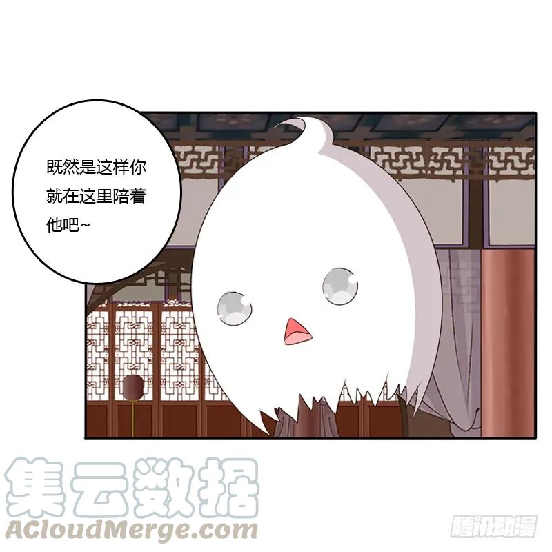《通灵妃》不让走 第41页