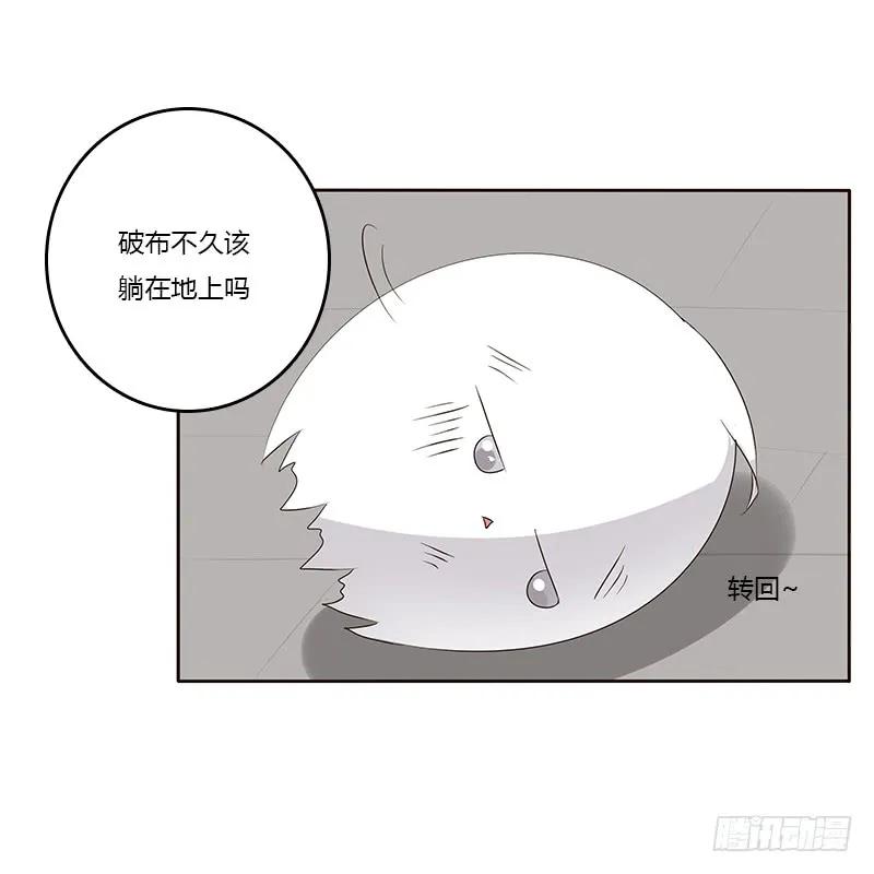 《通灵妃》破布吗？ 第19页