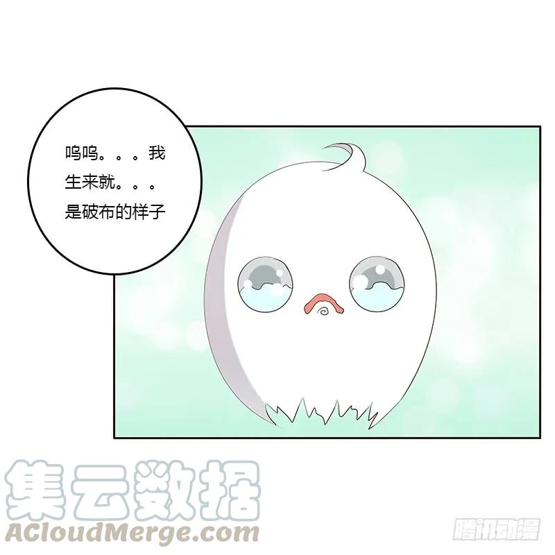 《通灵妃》本来面目 第5页