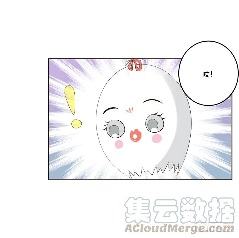 《通灵妃》爱屋及乌？！ 第25页