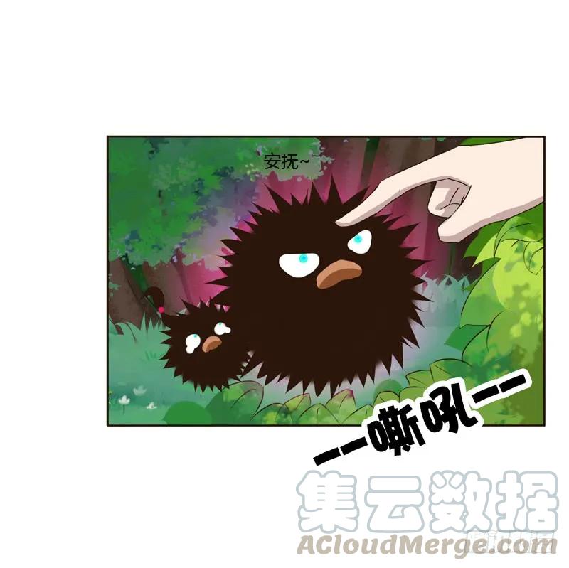 《通灵妃》四处寻找 第17页