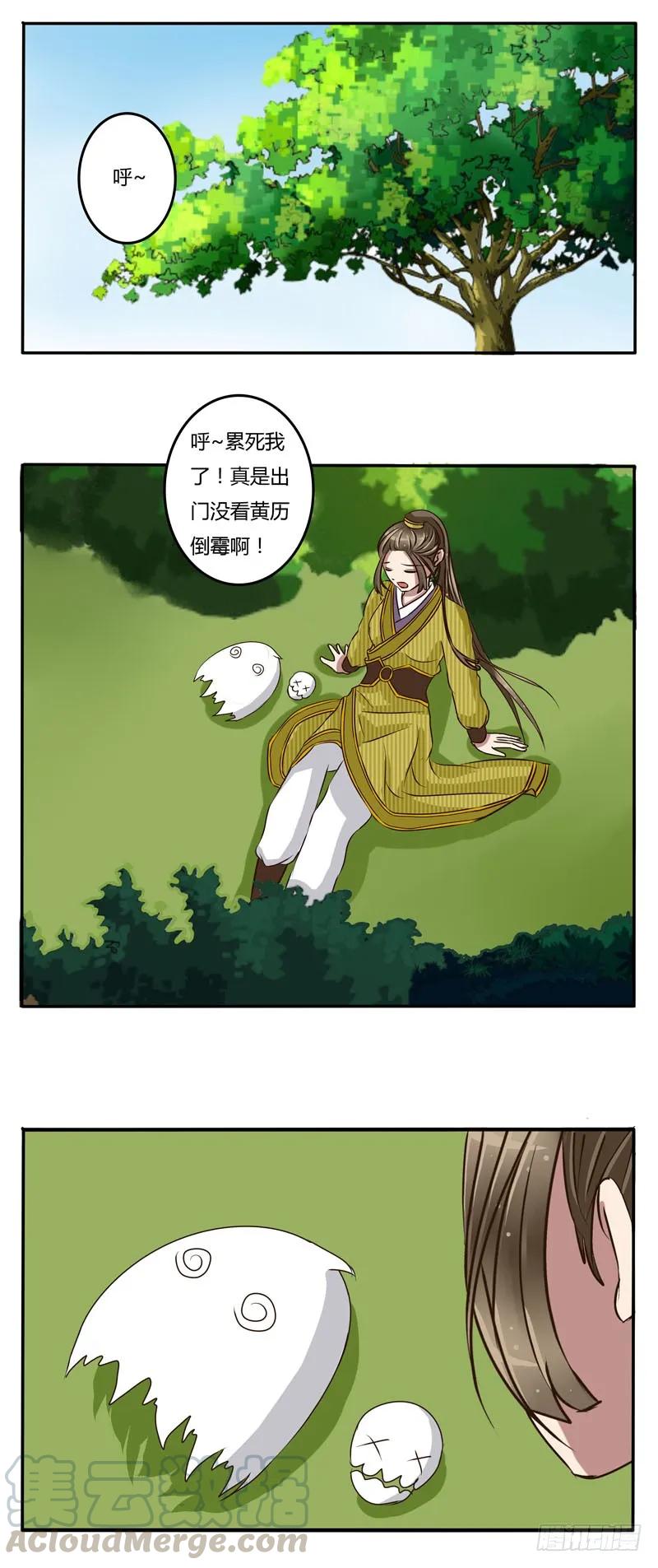 《通灵妃》原由 第13页