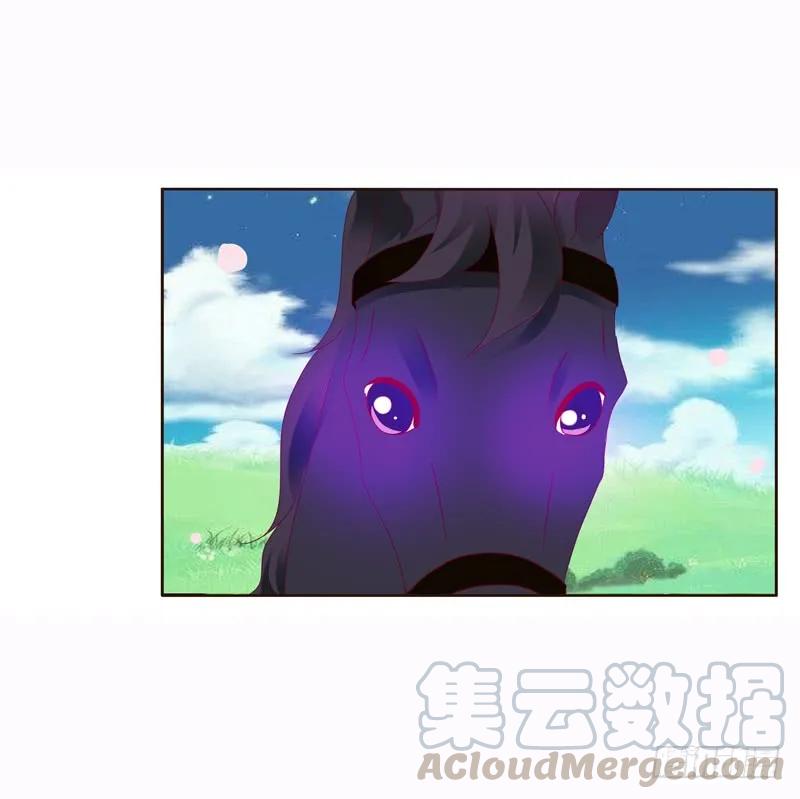 《通灵妃》发狂的小葡萄 第13页