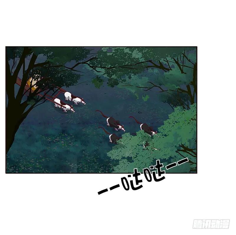 《通灵妃》我要杀了你 第28页