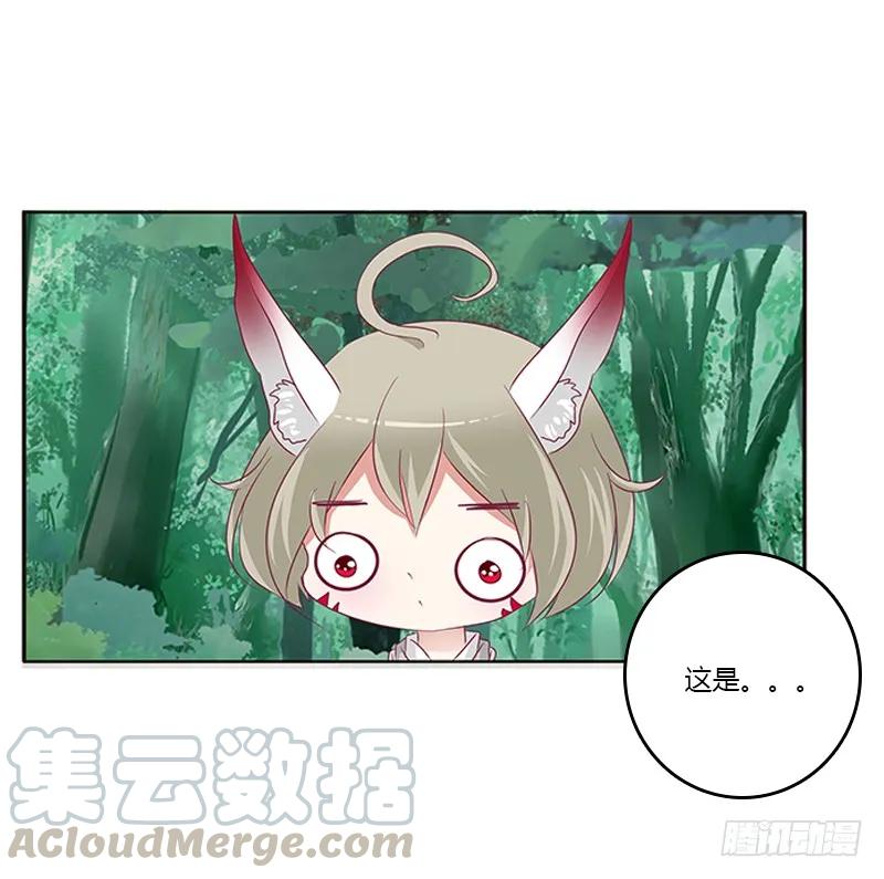 《通灵妃》小卷 第49页