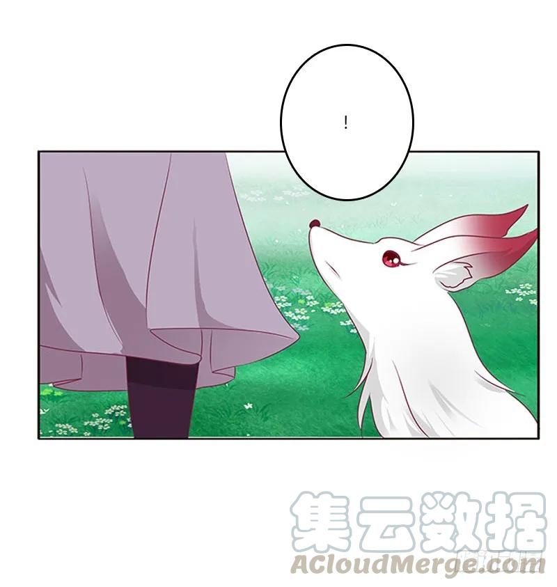 《通灵妃》三生万物 第8页