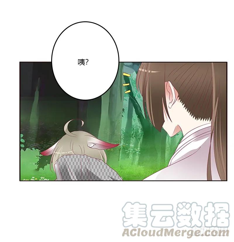 《通灵妃》三生万物 第40页