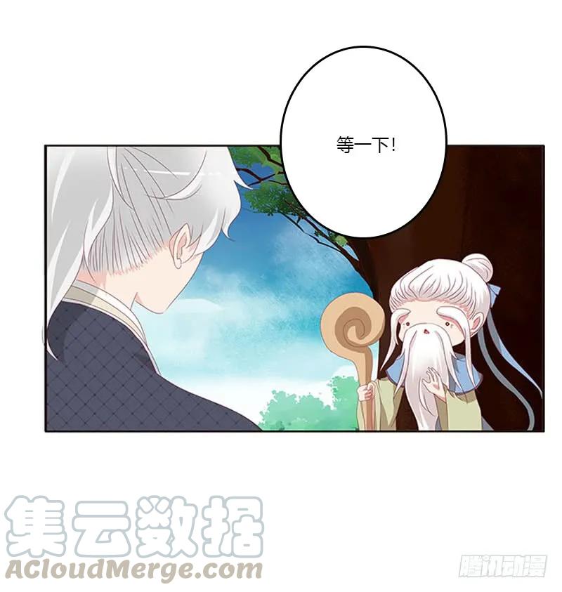 《通灵妃》问责 第33页