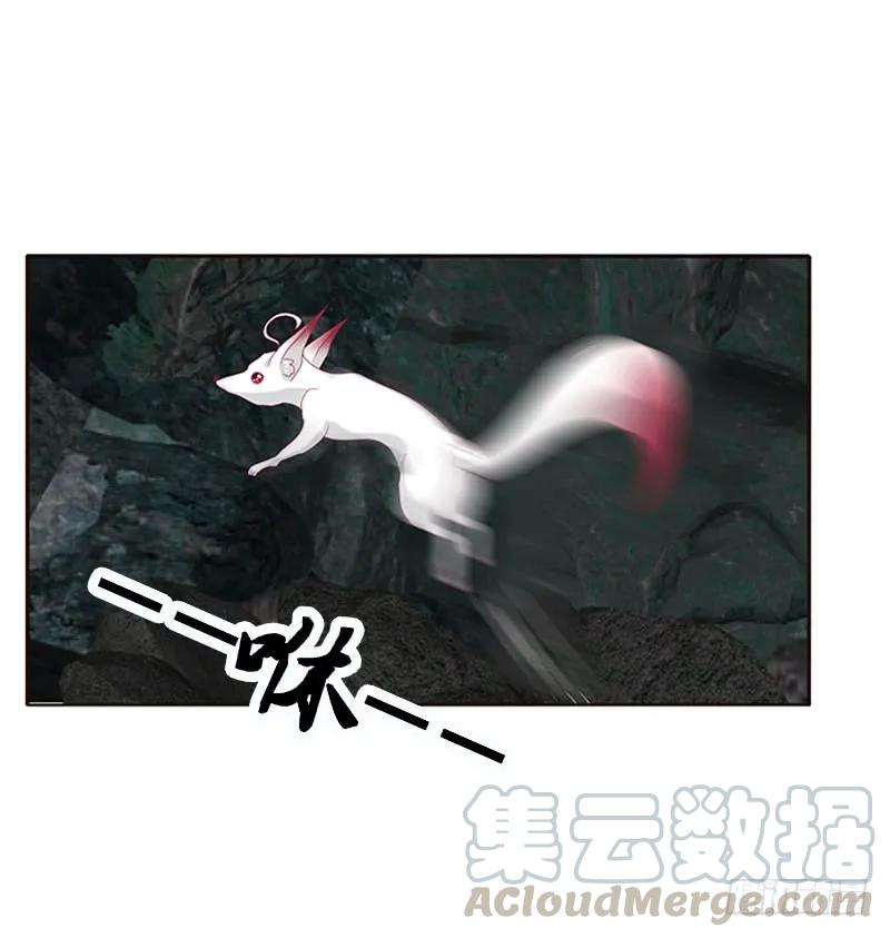 《通灵妃》灵骨草 第49页