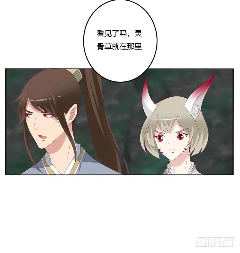 《通灵妃》灵骨草 第24页